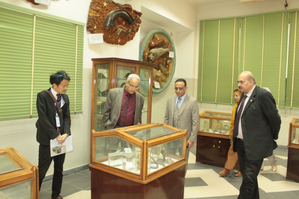 الوفد الياباني المشارك في الملتقى المصري الياباني؛ في زيارة لمتحفيّ "الجيولوجيا" ، و"الفونا" بجامعة أسيوط