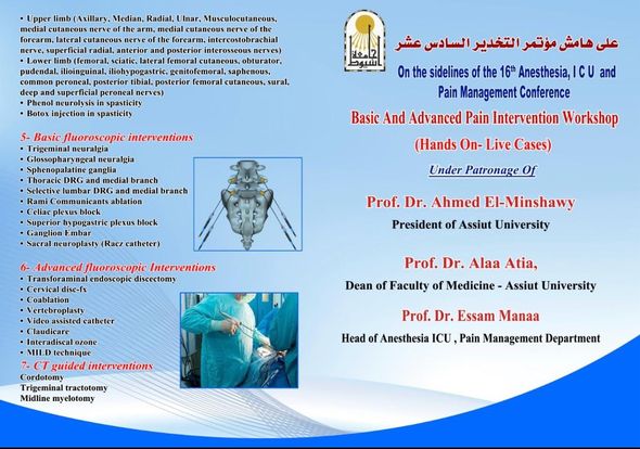 7 workshops on the sidelines of the 16th Annual Conference of the Department of Anesthesia, Intensive Care and Pain Management - Faculty of Medicine - Assiut University