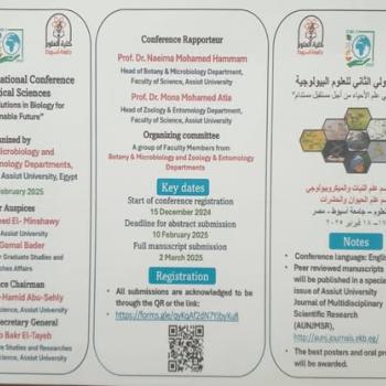 invitation