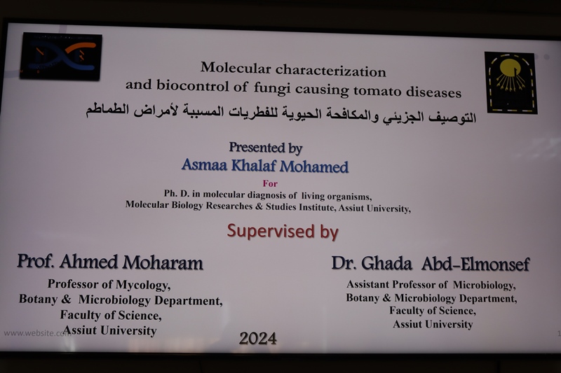 اسماء2