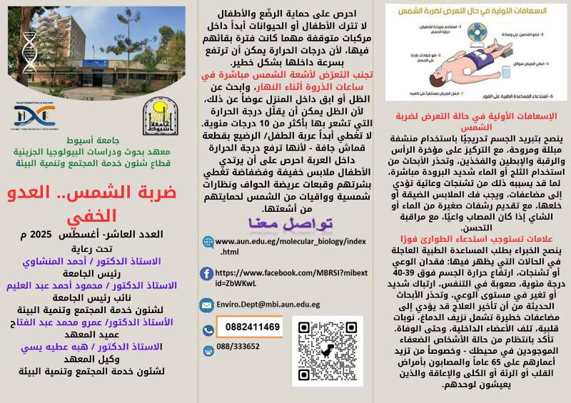 ضربة شمس1