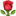الوصف: 🌹