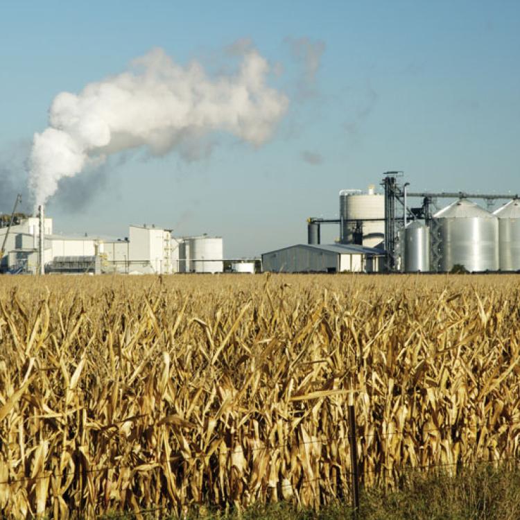 Science and Technology of Industrial Fermentation